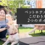 【ペットホテル選び】これだけはこだわりたい2つのポイント