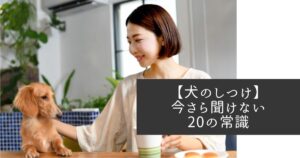 【犬のしつけ】今さら聞けない犬のしつけ20の常識