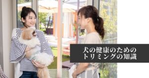 【わんこ飼い主必見】犬の健康のためのトリミングの知識