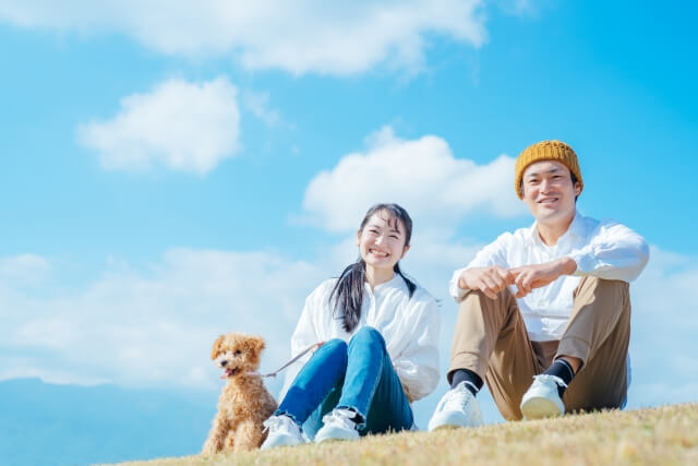 【犬の健康管理ガイド】 毎日のケアで長生きさせるコツ