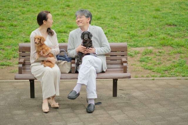 【多頭飼いの悩みを解決】犬たちと幸せに暮らすための徹底ガイド